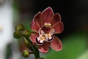 2025-04046222 Tower Hill Botanic Garden, MA